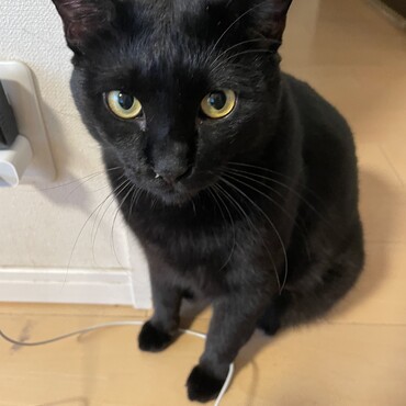 かっこいいでしょ？