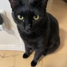 かっこいいでしょ？