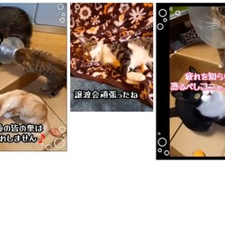 「2024.10.22-02」サムネイル1