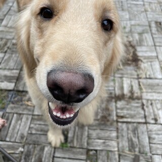 3歳の女の子です