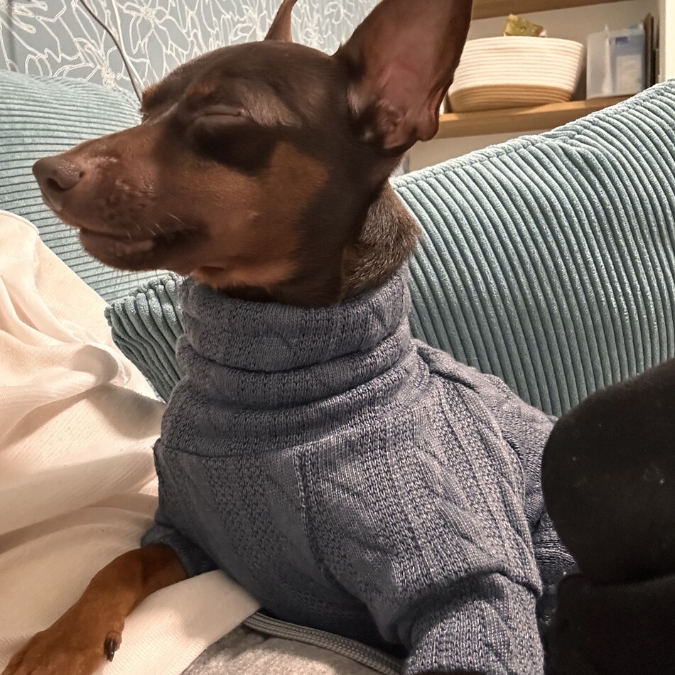 ロアのカバー写真
