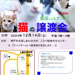 猫の譲渡会inしあわせの村『こうべ動物共生センター』