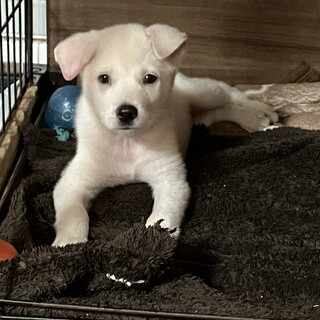 一旦募集停止します