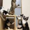 5兄弟でわちゃわちゃ集合写真！