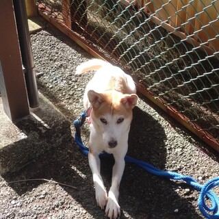 ありがとうございました！