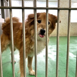 ありがとうございました！