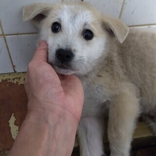 11月19日　朝9時　※時間厳守　