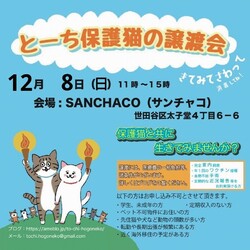 とーち保護猫の譲渡会@三軒茶屋