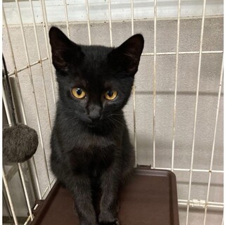 ありがとうございました！