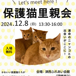 保護猫里親会in津