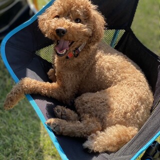 元気な男の子です！