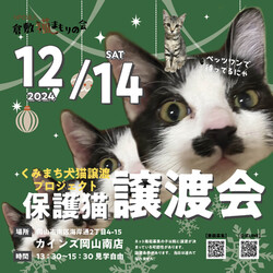 保護猫譲渡会（参加自由）