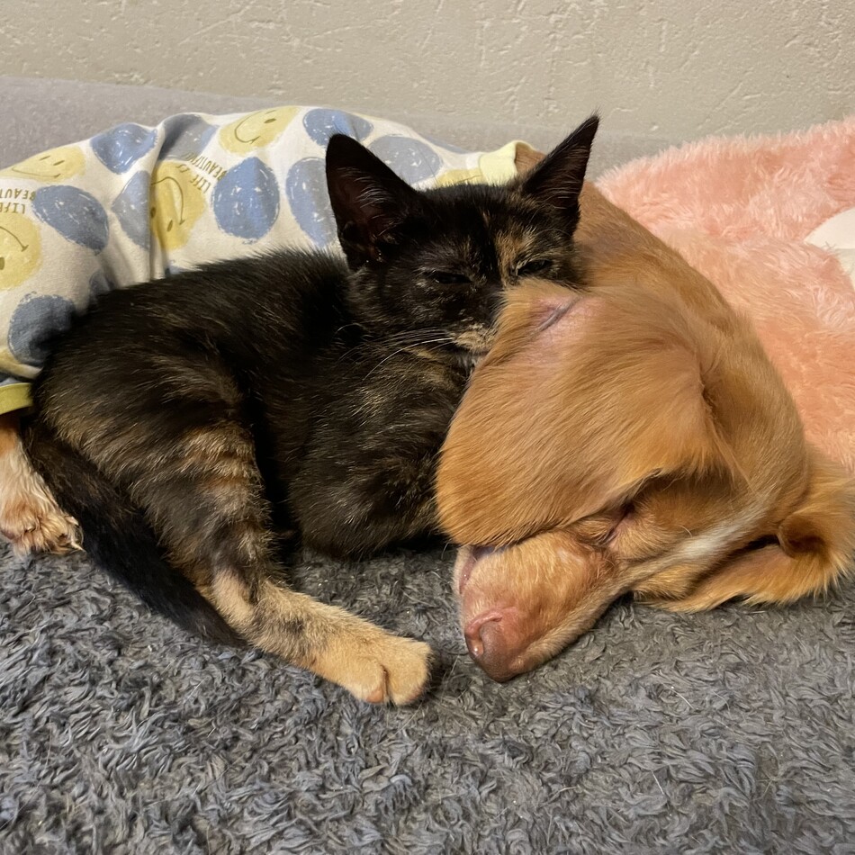 悠乃のカバー写真