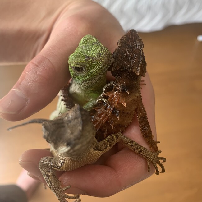 Nick_05のカバー写真
