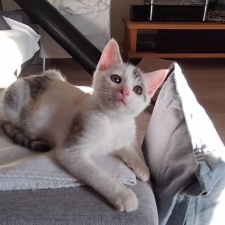 ４兄妹　人か大好き♡ヴィオラちゃん