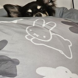 「今日は一段と寒い」サムネイル2