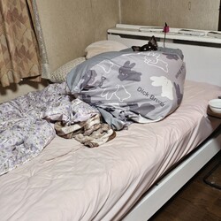 「今日は一段と寒い」サムネイル3