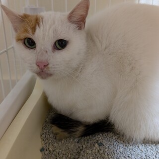 緊急！24日、寒さ厳しい漁港にリリース