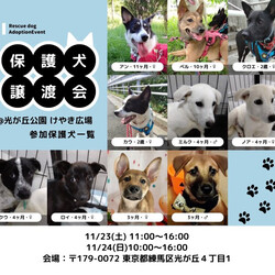 都立光が丘公園すまいるフェス2024　in練馬区 サムネイル2