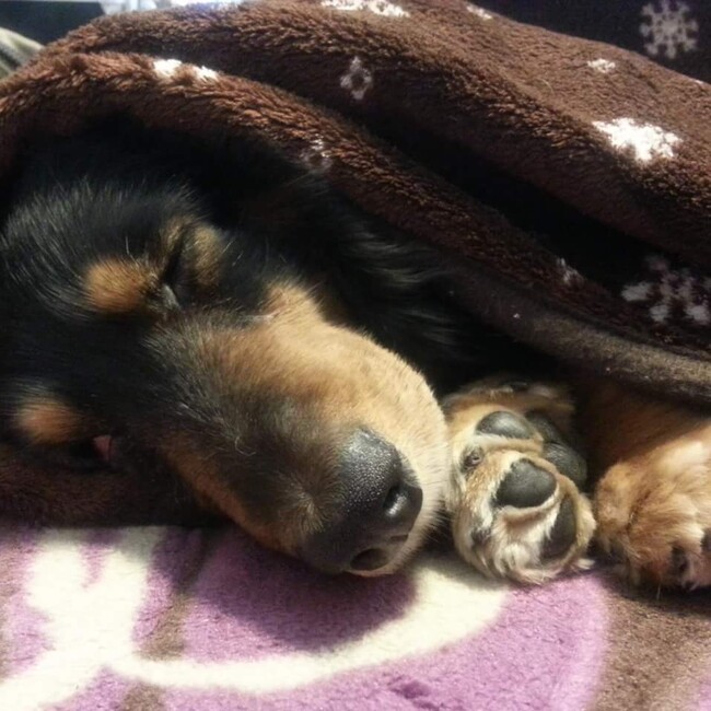 みーしゃ93のカバー写真