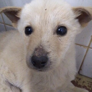 お迎え有難うございました☆