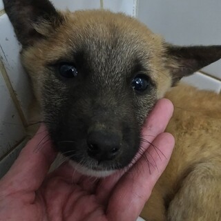 お迎え有難うございました☆