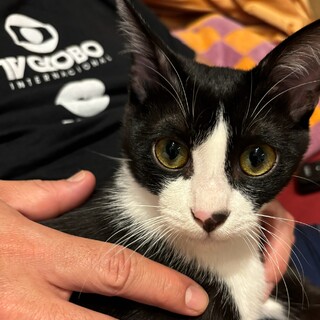 【12/8芝浦】人が大好き！お子さんとも仲良しに★