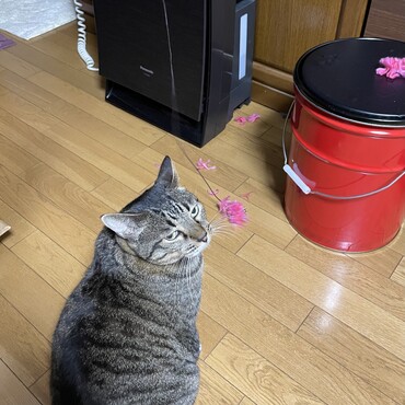 この目は…奪って逃走( *｀ω´)