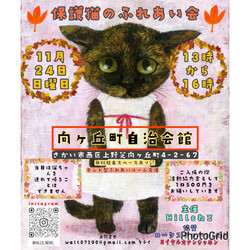 保護猫のふれあい会