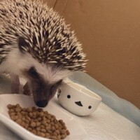 とげ
