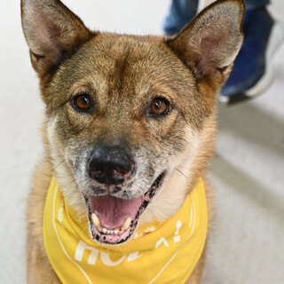 直ぐに親友、そうじろう！