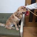 終了