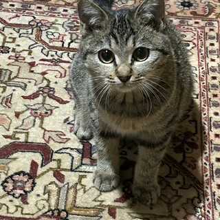 家族になってください！