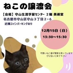 ねこの譲渡会 in守山生涯学習センター