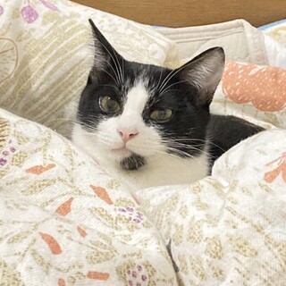 甘えん坊なやんちゃ坊主　りょう