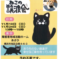保護猫譲渡会in横浜市旭区 サムネイル1
