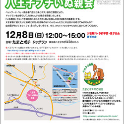 ちばわん八王子プチいぬ親会