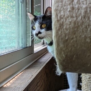 人懐こいリュウセイ君