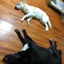 シンクロ行動✨