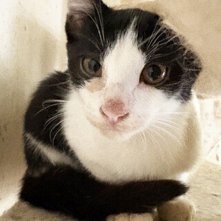 黒白のイケメン♡ふたせくん♂約4か月半