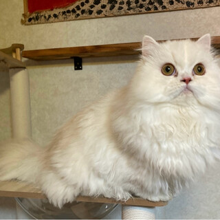 エクリュくん♀＠約9ヶ月