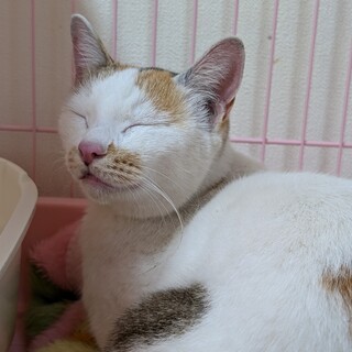 明日24日午前中寒い漁港へリリース！