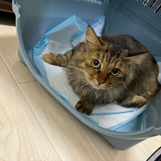 うっとり顔が可愛い☆そまりちゃん