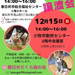 保護猫の譲渡会in春日井