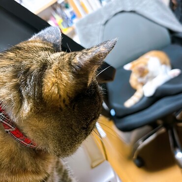 弟を見守るお姉さん