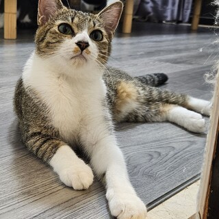 姉妹でずっとのお家決定！