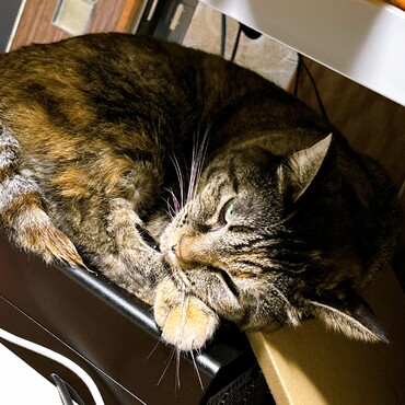 パソコンあったかくて良いね