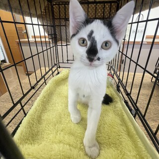 募集停止人見知りしない甘えん坊⭐️しずく