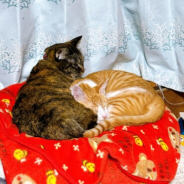 ちょっと気まずい