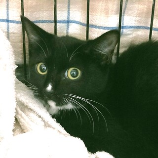 まんまるお目々の女の子♡